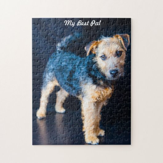 Puzzle Terrier de Lakeland. (Vertical)