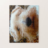 Puzzle Terrier Fox. (Vertical)
