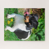 Puzzle Terrier Parson Russell. (Horizontal)