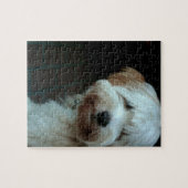 Puzzle terrier tibétain 2 (Horizontal)