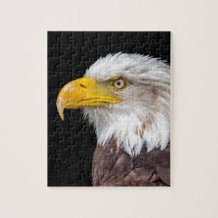 Puzzle Tête d'aigle chauve sur le noir