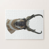 Puzzle Tête d'antilope pronghorn A19 (Horizontal)