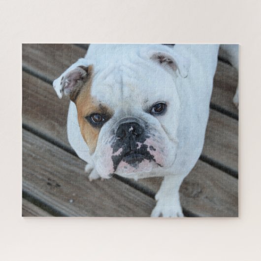 Puzzle Tête de bouledogue (Horizontal)
