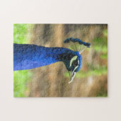 Puzzle - Tête de paon bleu (Horizontal)