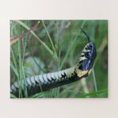 Puzzle Tête de serpent (Horizontal)