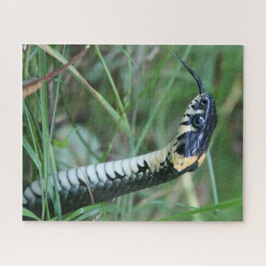 Puzzle Tête de serpent (Horizontal)