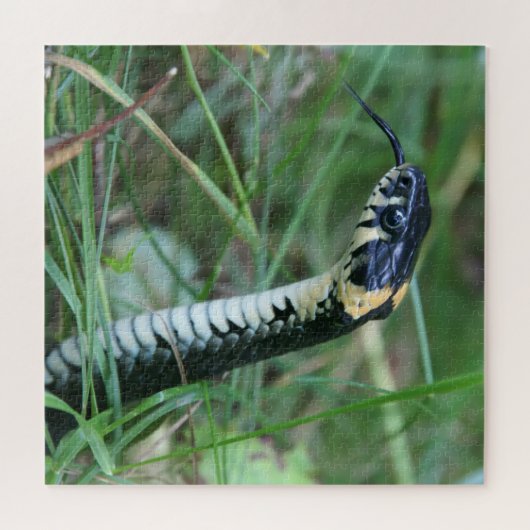 Puzzle Tête de serpent (Horizontal)