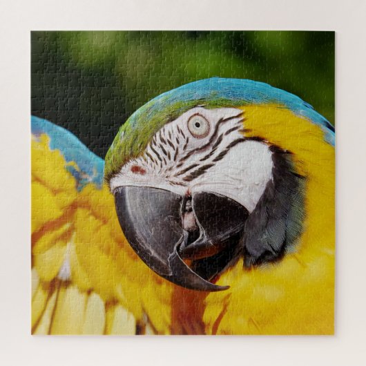 Puzzle Tête d'un Macaw bleu et jaune (Vertical)