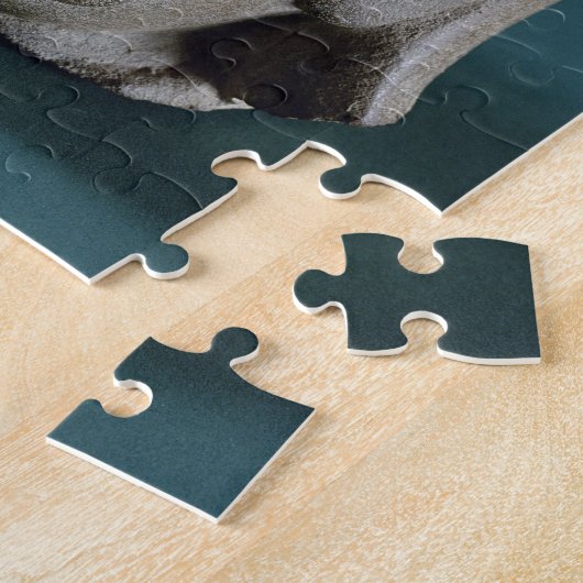 Puzzle Tête polie de grès d'un étranger, Sarnath, 3ème (Côté)