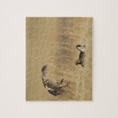 Puzzle Tétras des prairies mâles au lek dans le comté de  (Vertical)