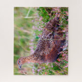 Puzzle Tétras rouge (Vertical)