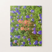 Puzzle Texas Bluebonnets et Indian Paintbrush Flower (Vertical)