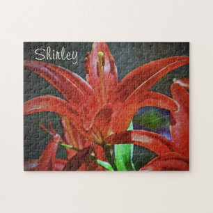Puzzle Texture de Lily-rouge par Shirley Taylor