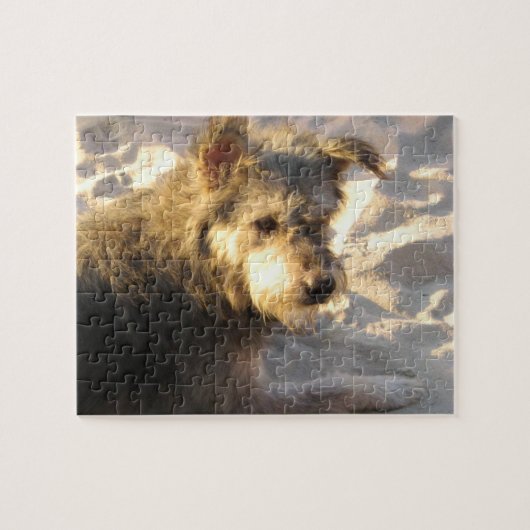 Puzzle Thai Beach Dog (Horizontal)