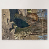 Puzzle The Curious Hollow  (Horizontal)