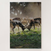 Puzzle THE Group of Grazing Deer (Vertical)