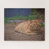 Puzzle The Master of the Sunny Path (Horizontal)