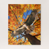 Puzzle "The Sunday Hawk" (Vertical)