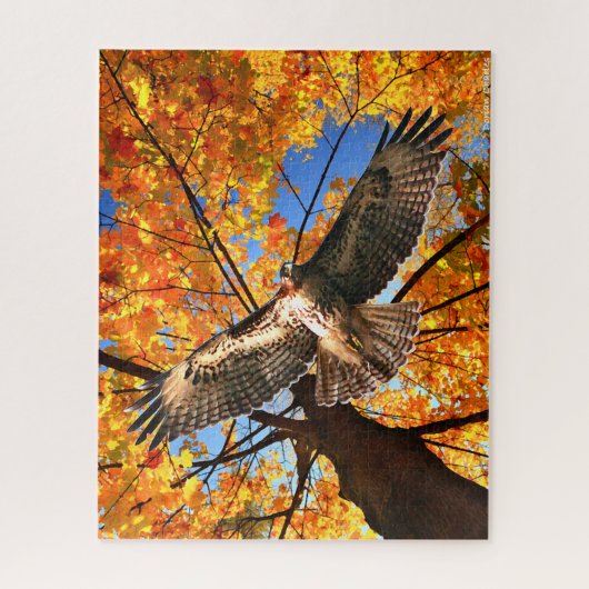 Puzzle "The Sunday Hawk" (Vertical)