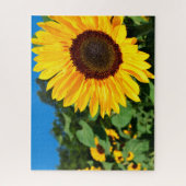 Puzzle Thème pittoresque de la nature des tournesols (Vertical)