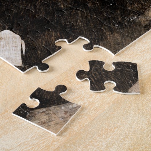 Puzzle Théodore Roosevelt (Côté)