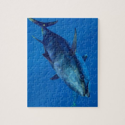 Puzzle thon rouge (Vertical)