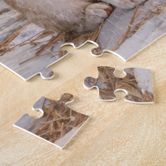 Puzzle Three young cute cat kittens sit friendly together (Côté)