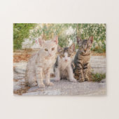 Puzzle Three young cute cat kittens sit friendly together (Horizontal)