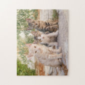 Puzzle Three young cute cat kittens sit friendly together (Vertical)