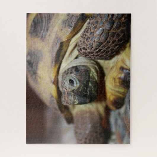 Puzzle Tibbs (Vertical)