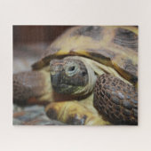 Puzzle Tibbs (Horizontal)