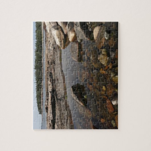Puzzle Tidepool au pays des merveilles dans le parc natio (Vertical)