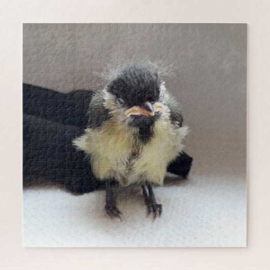 Puzzle Tidi my Bird le Parus Major (Horizontal)