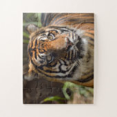 Puzzle Tiger (Vertical)