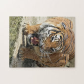 Puzzle Tiger_2015_0156 (Horizontal)