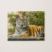 Puzzle Tiger assis (Horizontal)