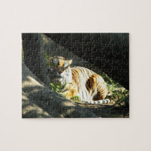 Puzzle Tiger Catnap