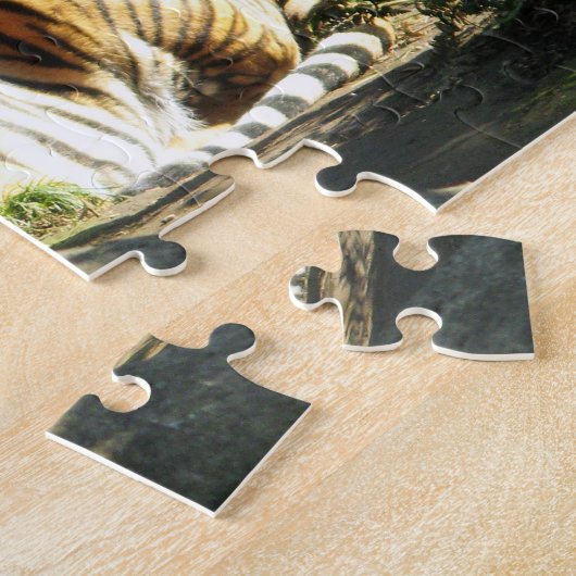 Puzzle Tiger Catnap (Côté)