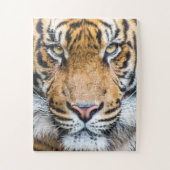 Puzzle Tiger face (Vertical)