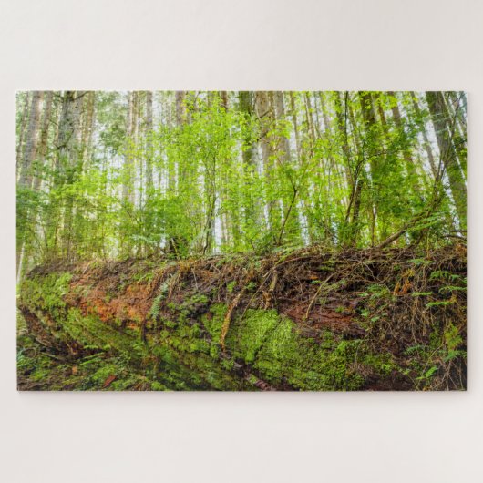 Puzzle Tiger Mountain | Issaquah, État de Washington (Horizontal)