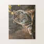 Puzzle Tigre (Vertical)