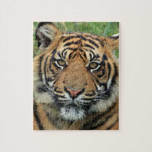 puzzle tigre (Vertical)