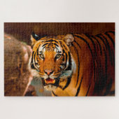 Puzzle Tigre (Horizontal)
