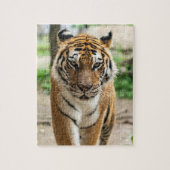 Puzzle Tigre (Vertical)