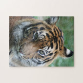 Puzzle Tigre 012 (Horizontal)