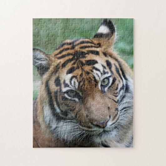 Puzzle Tigre 012 (Vertical)
