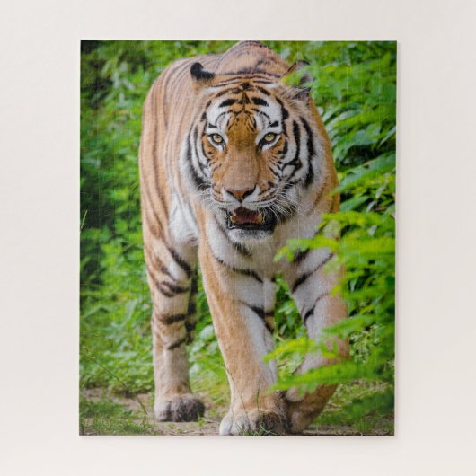 Puzzle Tigre Adulte Prowling Parmi Les Feuilles Vert Clai (Vertical)