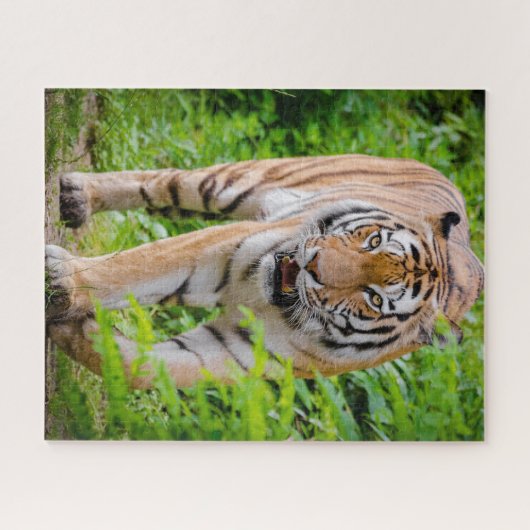 Puzzle Tigre Adulte Prowling Parmi Les Feuilles Vert Clai (Horizontal)