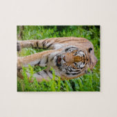 Puzzle Tigre Adulte Prowling Parmi Les Feuilles Vert Clai (Horizontal)