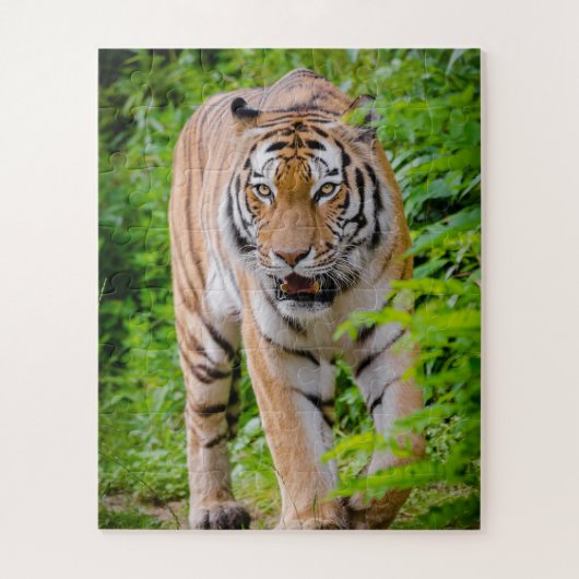 Puzzle Tigre Adulte Prowling Parmi Les Feuilles Vert Clai (Vertical)